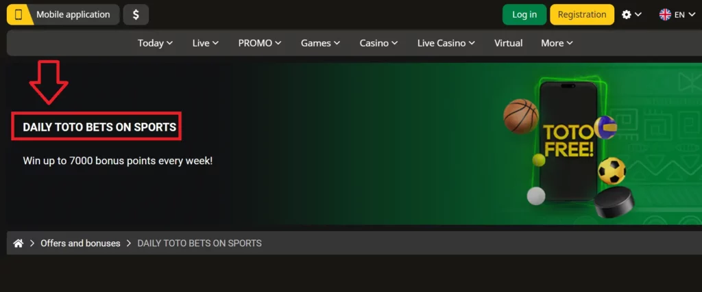 You Can Get More with a Special Afropari Bonus Code