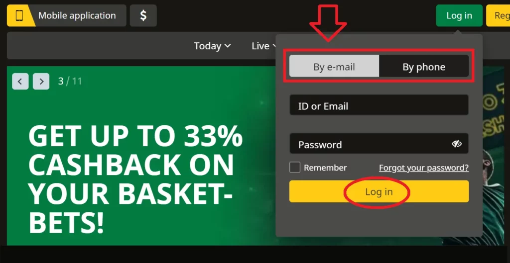 Afropari Login Procedure at the Site